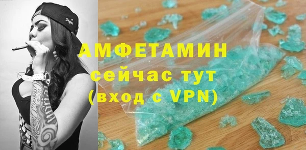 ГАЛЛЮЦИНОГЕННЫЕ ГРИБЫ Вяземский
