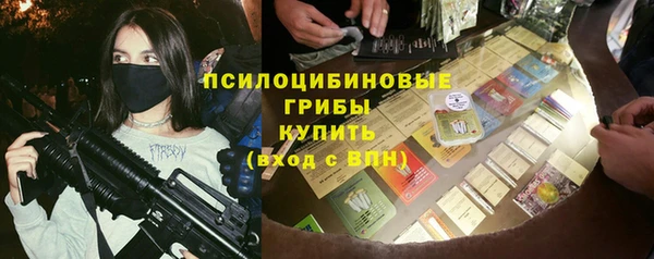 ГАЛЛЮЦИНОГЕННЫЕ ГРИБЫ Вяземский