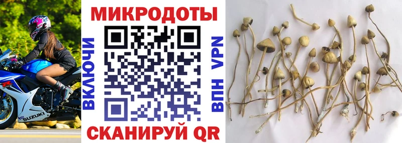 Галлюциногенные грибы Magic Shrooms  наркота  Оханск 